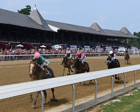 Dr. Agne, Maiden Win, Saratoga Race Course, July 11 2025<br>
2023 colt; Into Mischief - Lady Eli
