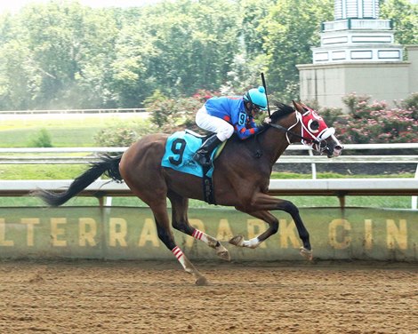 Blazing Tony (Perry Ouzts' Record Tying Mount 53,578 - MSW - BTP - 072625