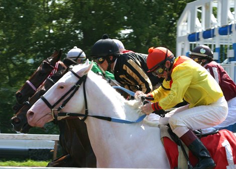 Perry Ouzts and The White Fox at River Downs