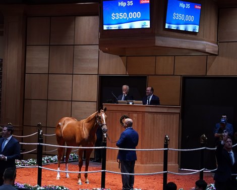 The Jack Christopher colt, consigned as Hip 35 in the ring