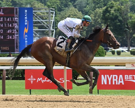 Ah Ca Ira, ALW, Saratoga Race Course, July 10 2025 First Race 2025 Saratoga Meet