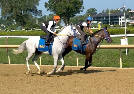 White Abarrio outside of stablemate Absolute Honor as they begin a three-furlong breeze in :35.43 at Saratoga Race Course