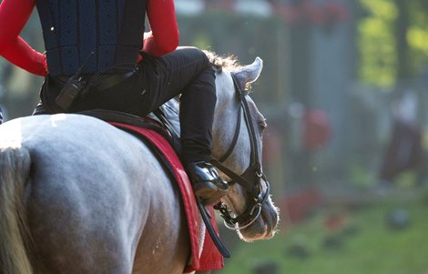 Sandman with exercise rider Reynaldo Dumont heads back to the barn after he breezes at the Saratoga Race Course Wednesday July 16, 2025 in in Saratoga Springs, N.Y.  Photo by Skip Dickstein