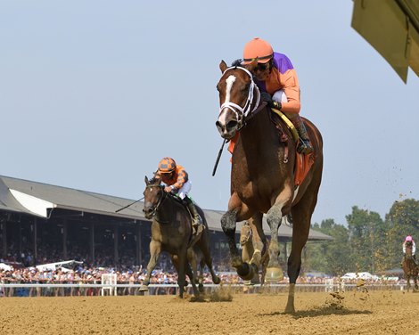 Tommy Jo, Maiden Win, Saratoga Race Course, July 26 2025 Tommy Jo, Maiden Win, Saratoga Race Course, July 26 2025