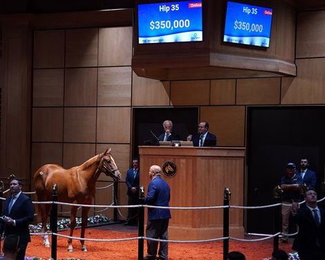 Hip 35, 2025 Fasig-Tipton July Sale