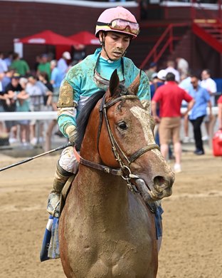 Dr. Agne, Maiden Win, Saratoga Race Course, July 11 2025<br>
2023 colt; Into Mischief - Lady Eli