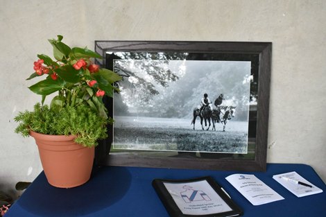 D. Wayne Lukas dispersal, consigned by Mulholland Springs the Fasig-Tipton July Horses of Racing Age Sale