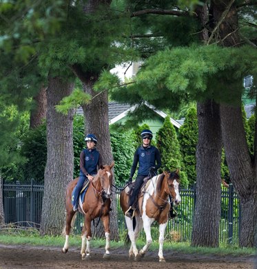 Go Go Boots, left  who is owned by TV personality and Chef Bobby Flay who will compete in the 2025 Saratoga Oaks G2 leaves the track after exercise on the Oklahoma Training track adjacent to the Saratoga Race Course Thursday Aug.7, 2025 in Saratoga Springs, N.Y.  Skip Dickstein Photo