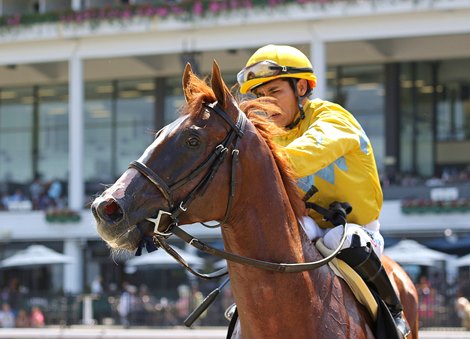 Air Recruitwith Paco Lopez riding won the $100,000 Oceanport Stakes at Monmouth Park Racetrack in Oceanport, NJ on Sunday August 10, 2025.  Photo By Julia Sebastianelli/EQUI-PHOTO