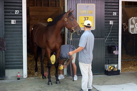 Hip 37, 2025 Fasig-Tipton Saratoga Sale