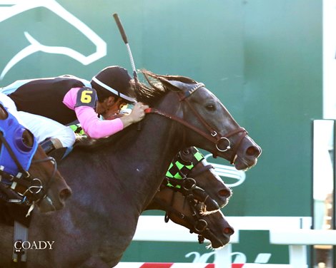 Meringue wins the 2025 Kentucky Downs Juvenile Fillies Stakes at Kentucky Downs