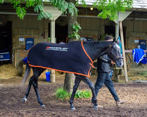 Shisospicy Training scenes from Saratoga Racecourse on Aug. 21, 2025.