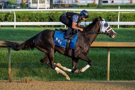 Good Cheer Kentucky Oaks G1 winner breezed a half-mile this morning on the main track at the Saratoga Race Course Saturday Aug.9, 2025 in Saratoga Springs, N.Y.  This was her prep workout for her appearance in the Alabama Stakes to be run at the Saratoga on August 16th.  Skip Dickstein Photo