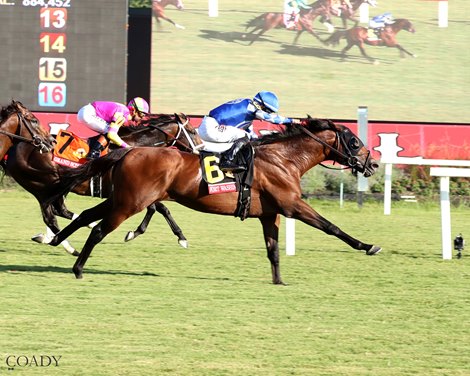 Fort Washington wins the 2025 Arlington Million Stakes at Colonial Downs