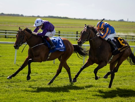 Power Blue and David Egan wins the Gr.1 Keeneland Phoenix Stakes  from True Love.<br>
The Curragh.<br>
Photo: Patrick McCann/Racing Post<br>
09.08.2025