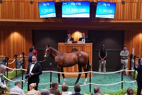 Hip 176, 2025 Fasig-Tipton Saratoga Sale