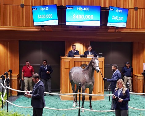 Hip 400 2025 Fasig-Tipton Saratoga  NY Bred Sale