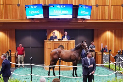 The Practical Joke filly, consigned as Hip 329 in the ring