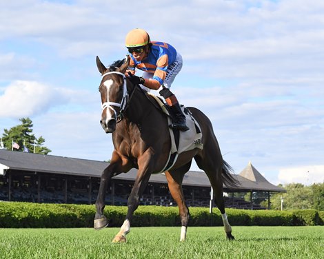 Time to Dream wins the P. G. Johnson Stakes on Wednesday, August 27, 2025 at Saratoga Race Course
