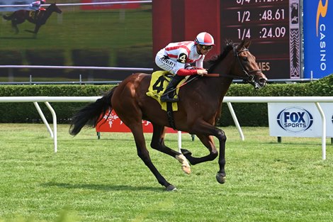 Deep Learning, Maiden Win, Saratoga Race Course, August 8 2025