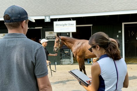 Scenics, 2025 Fasig-Tipton Saratoga  NY Bred Sale
