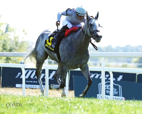 Ag Bullet wins the 2025 Ladies Turf Sprint Stakes at Kentucky Downs