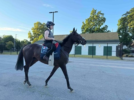Laura Pearson takes Wimbledon Hawkeye to the track at Churchill Downs Sunday, August 24, 2025 morning to train for Saturday's $3.5 million DK Horse Nashville Derby
