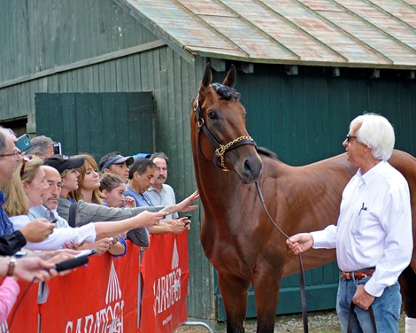 American Pharaoh and Bob Baffert the morning after the Travers Stakes (gr. I) on Aug. 30, 2015, in Saratoga Springs, N.Y.