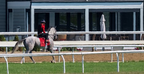 Sandman leaves the Oklahoma Training Center turf course with jockey Jose Ortiz  Sunday  Aug.10, 2025 in Saratoga Springs, N.Y.   Skip Dickstein Photo