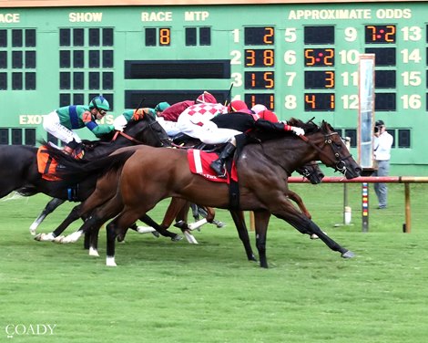 Simply in Front wins the 2025 KY Downs Preview Ladies Turf Mile Stakes at Ellis Park