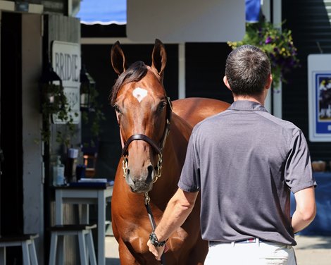 Hip 10, 2025 Fasig-Tipton Saratoga Sale
