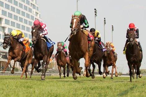 Jockey Rafael Hernandez guides Oujda (FR) to victory over the E.P.Taylor turf course in the $125,000 Sweet Briar Too Stakes. Oujda is owned by Woodford Thoroughbreds LLC and trained by William Walden. Oujda covered the 6 furlongs in 1.07.4. Woodbine/Michael Burns Photo