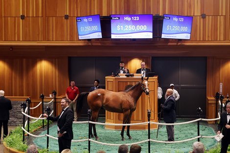 Hip 123, 2025 Fasig-Tipton Saratoga Sale
