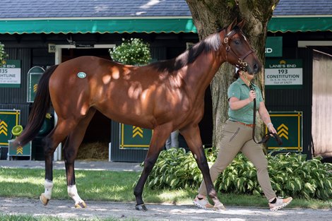 The Gun Runner filly out of Paradise Woods, consigned as Hip 175