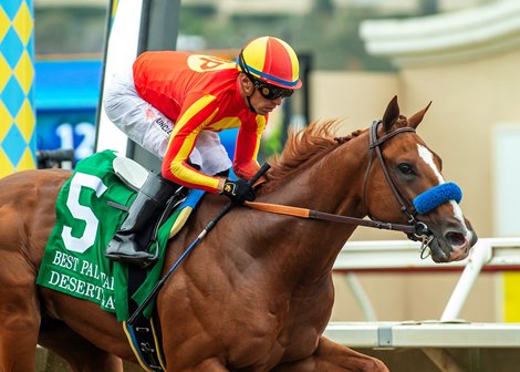 Heavily favored Desert Gate and jockey Juan Hernandez make easy work winning the Grade III $150,000 Best Pal Stakes Saturday August 9, 2025 at Del Mar Thoroughbred Club, Del Mar, CA.  The precocious 2-year-old son of Omaha Beach is owned by Mike Pegram, Karl Watson and Paul Weitman and trained by Bob Baffert.<br>
Benoit Photo