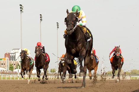 Jockey Rafael Hernandez guides Simcoe to victory in the $150,000 Bold Venture Stakes (Grade III).Simcoe is owned by Chiefswood Stables Limited and trained by Katerina Vassillieva. Woodbine/Michael Burns Photo