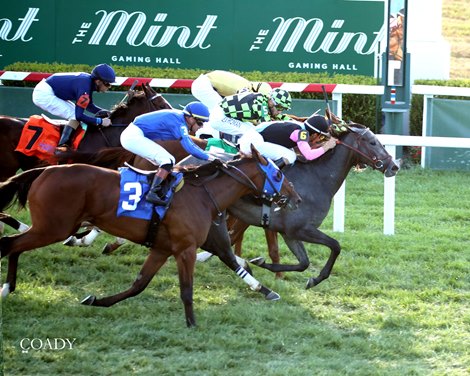 Meringue wins the 2025 Kentucky Downs Juvenile Fillies Stakes at Kentucky Downs