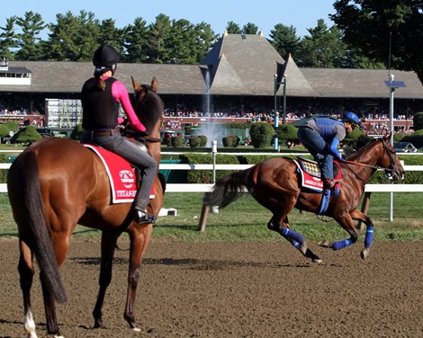 Texas Red on the track at Saratoga watches American Pharoah gallop by on August 28, 2015. Photo By: Chad B. Harmon