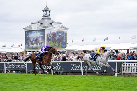 Gewan (PJ McDonald) beats Italy (Ryan Moore) in the Acomb<br>
York 20.8.25 Pic: Edward Whitaker