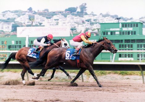 Best Pal wins the 1991 Pacific Classic at Del Mar