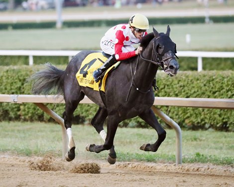 Chunk of Gold wins the 2025 West Virginia Derby at Mountaineer