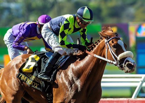 Om N Joy and jockey Kent Desormeaux, outside, outleg So There She Was (Antonio Fresu), inside, to win the Grade III, $150,000 Torrey Pines Stakes, Saturday, August 30, 2025 at Del Mar Thoroughbred Club, Del Mar CA.<br>
© BENOIT PHOTO