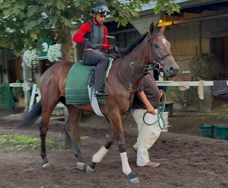 Mackinac at Saratoga Race Course