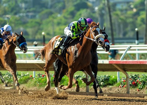 Om N Joy and jockey Kent Desormeaux, outside, outleg So There She Was (Antonio Fresu), inside, to win the Grade III, $150,000 Torrey Pines Stakes, Saturday, August 30, 2025 at Del Mar Thoroughbred Club, Del Mar CA.© BENOIT PHOTO