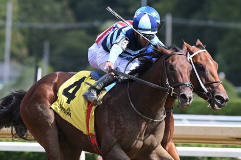 Talkin, Maiden Win, Saratoga Race Course, August 30 2025
