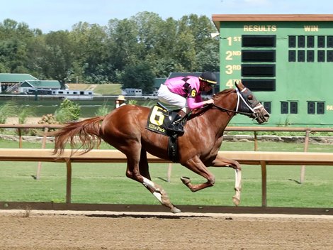 RANCHO SANTA FE - MSW - ELP - 082425