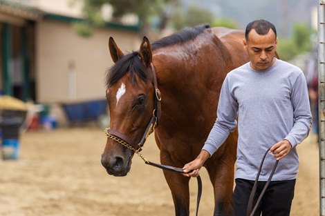 Journalism, Del Mar, August 16 2025