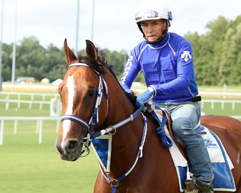Mystik Dan - Morning - Colonial Downs - 080825