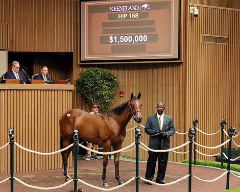 Hip 168, 2025 Keeneland September Yearling Sale