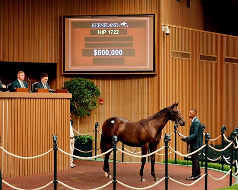 The Bolt d'Oro filly, consigned as Hip 1722 in the ring